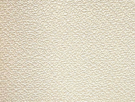 Animas曙光之城壁紙 壁紙 曙光之城ANIMAS-ANS 20076